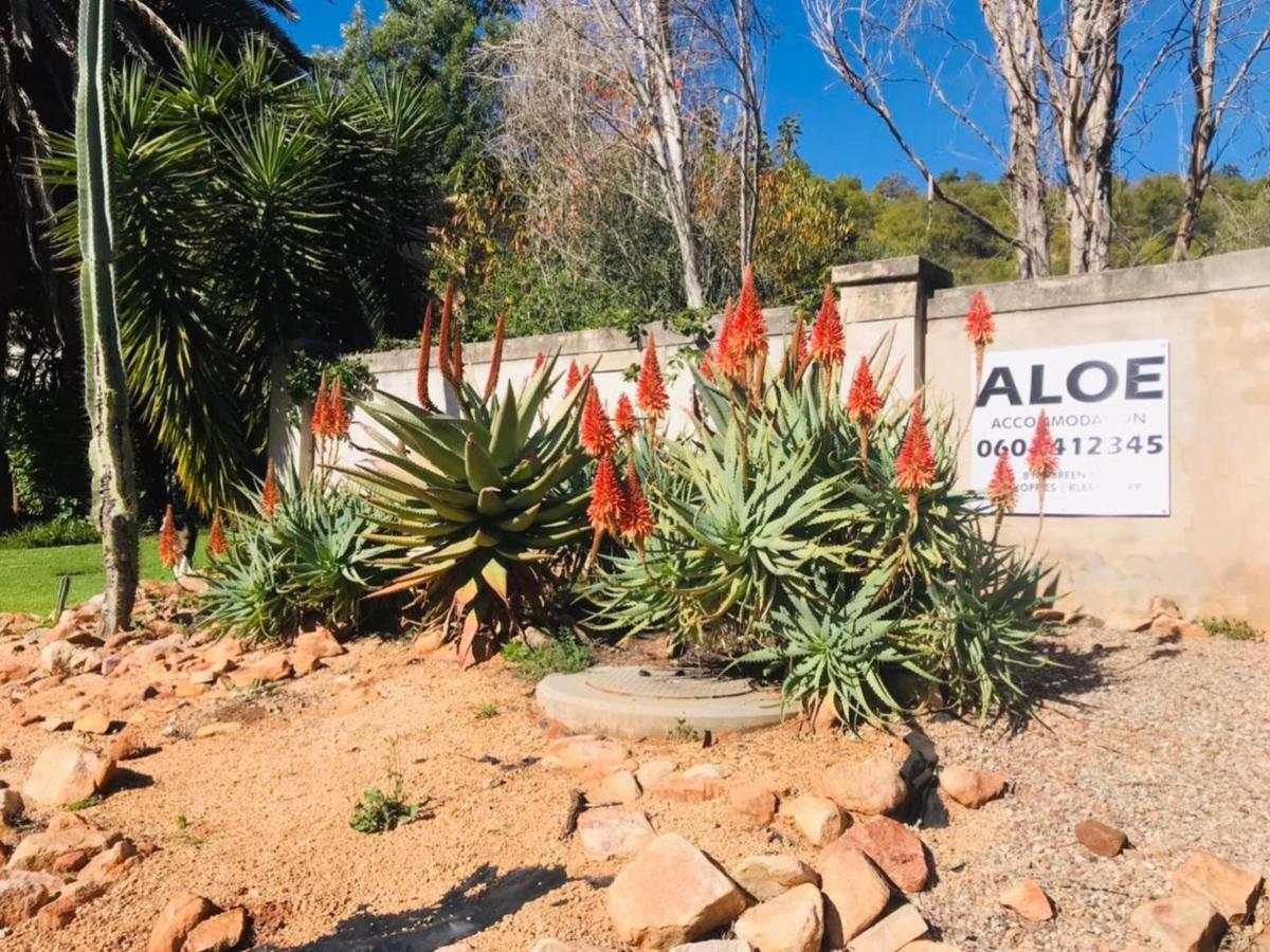 Aloe Guesthouse Klerksdorp Εξωτερικό φωτογραφία