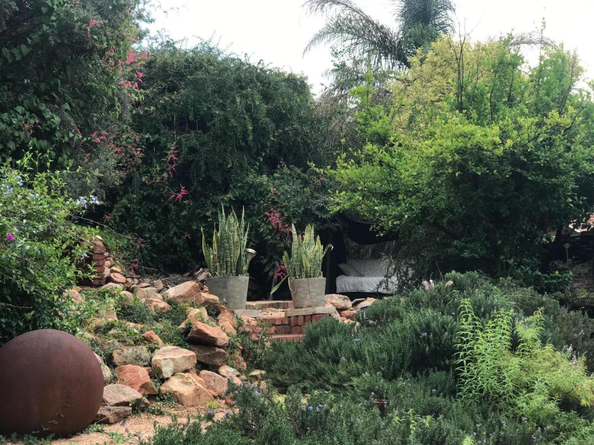Aloe Guesthouse Klerksdorp Εξωτερικό φωτογραφία