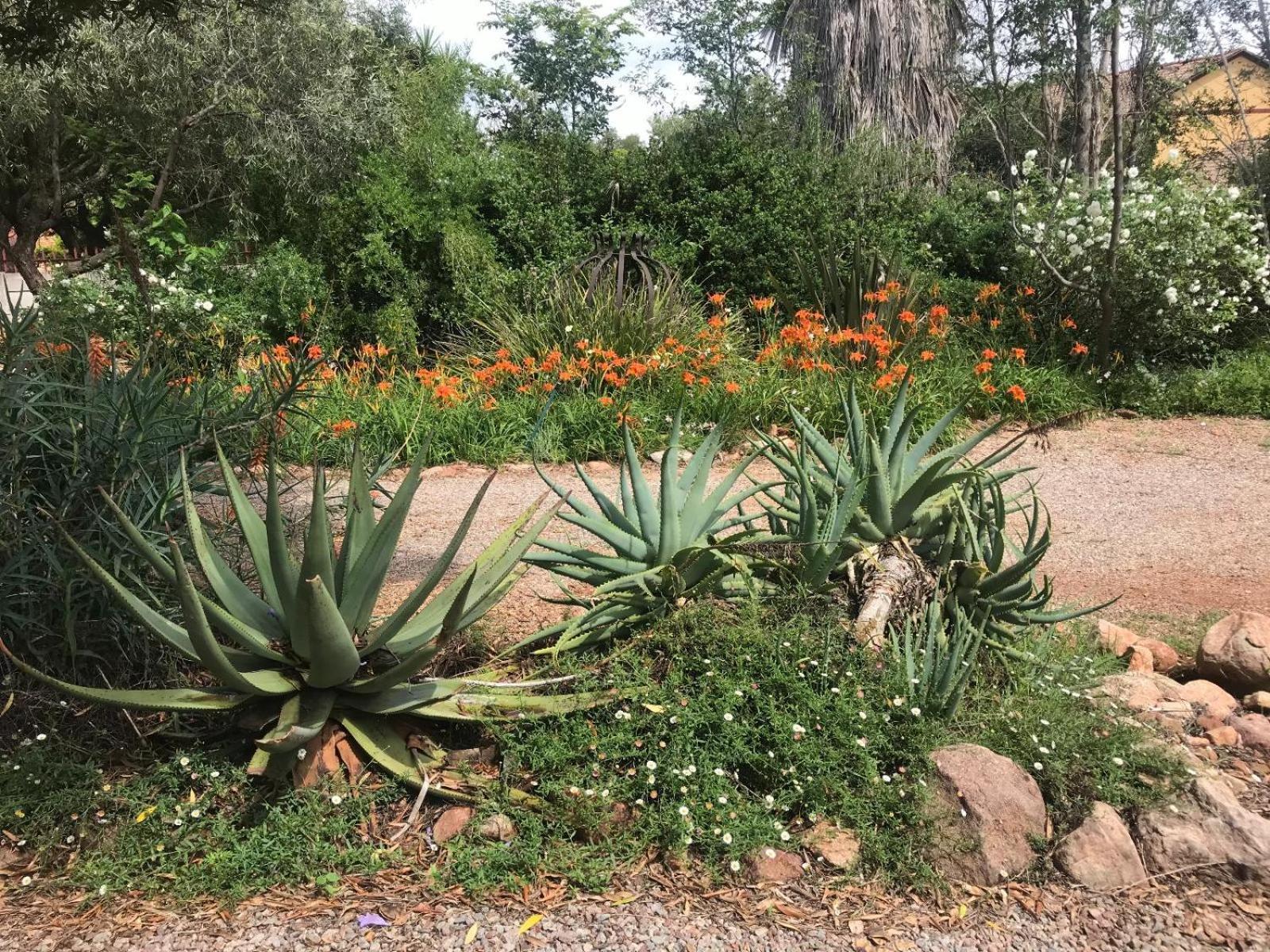 Aloe Guesthouse Klerksdorp Εξωτερικό φωτογραφία