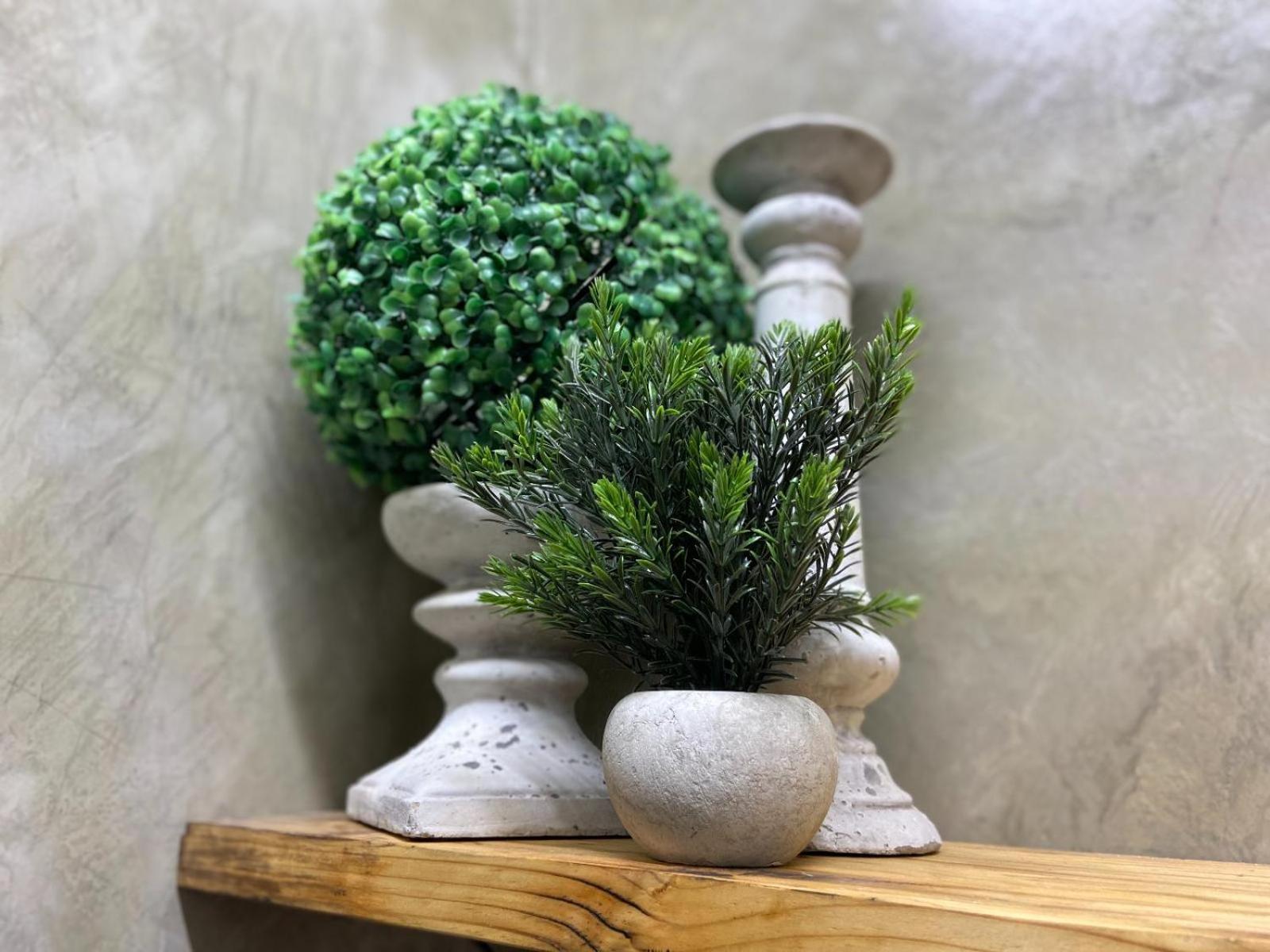 Aloe Guesthouse Klerksdorp Δωμάτιο φωτογραφία