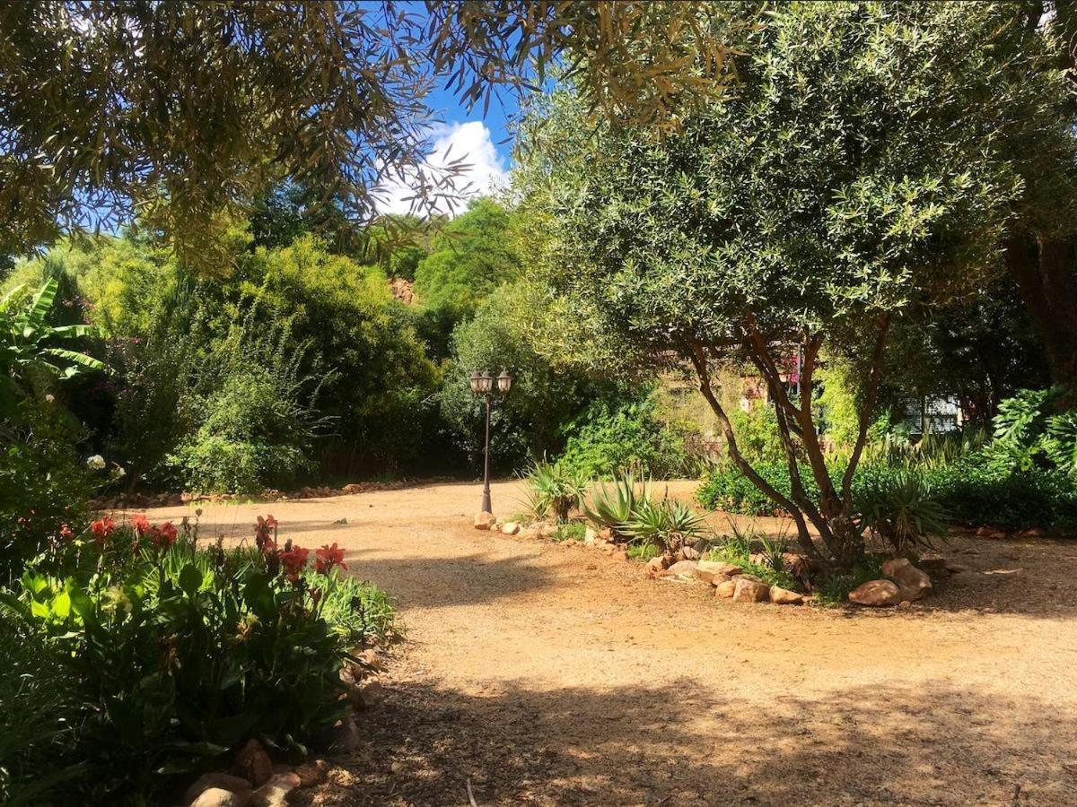Aloe Guesthouse Klerksdorp Εξωτερικό φωτογραφία